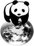 bearlight logo